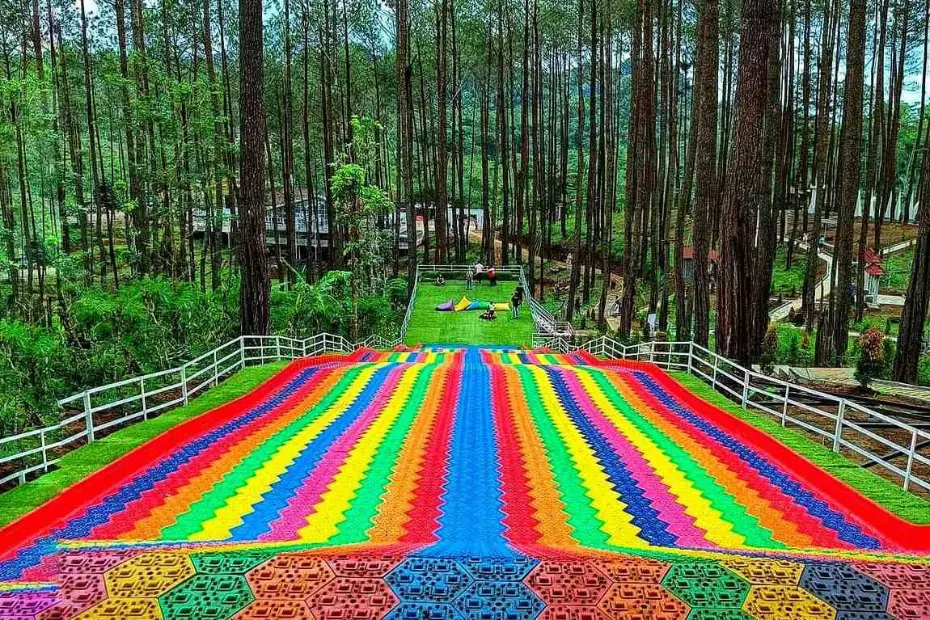 Menoreh Dreamland – Panorama Hutan Pinus & Spot Instagramable